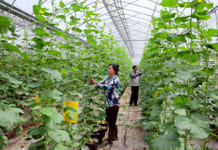Các giai đoạn khởi nghiệp đối với chị em trong và sau thời kì Covid-19